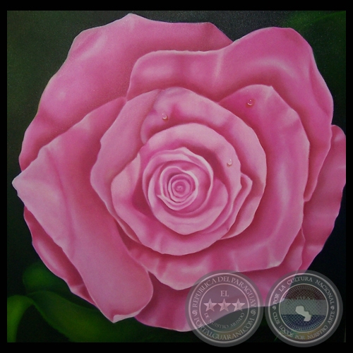 LA ROSA ROSADA - Obra de KARIN BADER