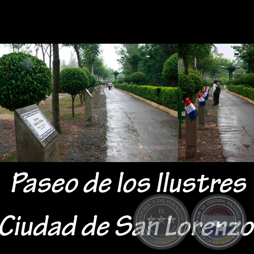 PASEO DE LOS ILUSTRES - SAN LORENZO - Fotos: LUIS VERA