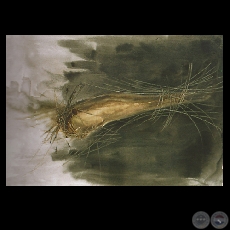 PARTO NORMAL, 1999 - Acrlico y carbonilla sobre tela de DORIS STRBING