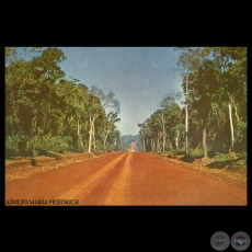 CAMINO EN LA ZONA DEL RO PARAN - Foto de ADOLFO MARA FRIEDRICH