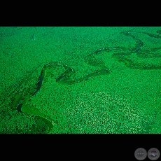 TODO VERDE - Fotografa de FERNANDO ALLEN