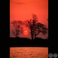 ATARDECER - Fotografía de Fernando Allen