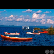 BOTES EN AREGU - Fotografa de FERNANDO ALLEN