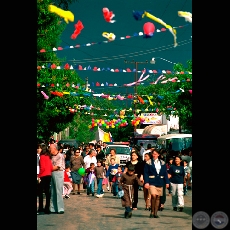 PROCESIN DE SAN ANTONIO - Fotografa de FERNANDO ALLEN