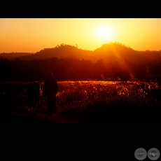 ATARDECER CAMPESINO - Fotografa de Fernando Allen