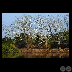 ATARDECER EN LA RUTA 2 - Fotografa de FERNANDO ALLEN