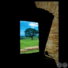 VENTANA RBOL - Fotografa de FERNANDO ALLEN