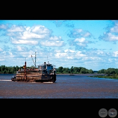 TRANSGANADO FLUVIAL - Fotografa de FERNANDO ALLEN