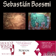 OBRAS DE SEBASTIÁN BOESMI - ASUNCIÓN WINWS EXPERIENCE. VINOS & ARTE