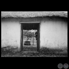 LA SOLEDAD, 1995 - Fotografa de MELVIN ROLDN