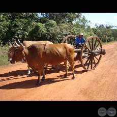 MI PARAGUAY PROFUNDO - Muestra fotogrfica de Juan de Urraza - Lunes 2 de Febrero de 2009