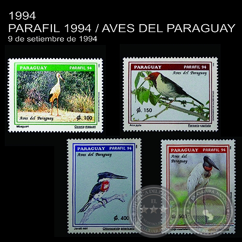 PARAFIL 1994 / AVES DEL PARAGUAY