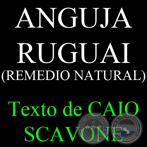 ANGUJA RUGUAI (REMEDIO NATURAL) - Texto de CAIO SCAVONE