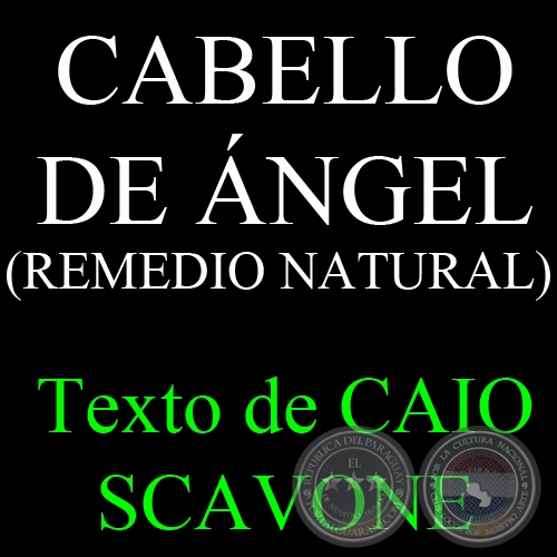 CABELLO DE NGEL ( REMEDIO NATURAL) - Texto de CAIO SCAVONE 