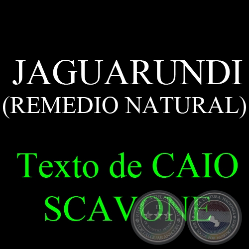 JAGUARUNDI ( REMEDIO NATURAL) - Texto de CAIO SCAVONE