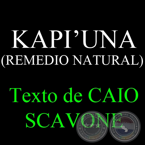 KAPIUNA (REMEDIO NATURAL) - Texto de CAIO SCAVONE