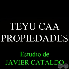 TEYU CAA - PROPIEDADES - Estudio de JAVIER CATALDO