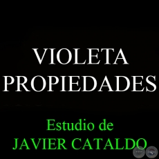 VIOLETA - PROPIEDADES - Estudio de JAVIER CATALDO