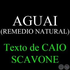 AGUAI (REMEDIO NATURAL) - Texto de CAIO SCAVONE