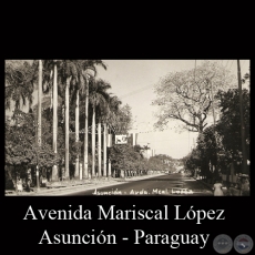 AVENIDA MARISCAL LÓPEZ (DETALLE) - TARJETA POSTAL DEL PARAGUAY