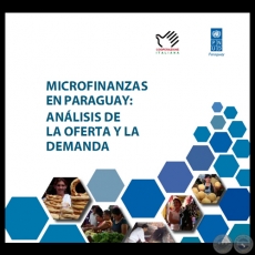 MICROFINANZAS EN PARAGUAY, 2010 - ANLISIS DE LA OFERTA Y LA DEMANDA