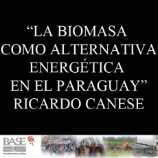 LA BIOMASA COMO ALTERNATIVA ENERGTICA EN EL PARAGUAY (RICARDO CANESE)