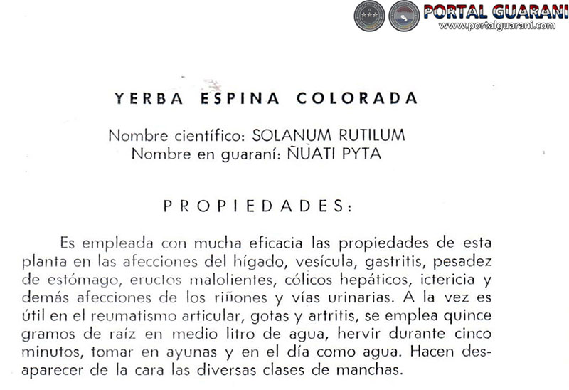 Portal Guaraní - YERBA ESPINA COLORADA - PROPIEDADES Portal Guaraní - YERBA ESPINA COLORADA - PROPIEDADES