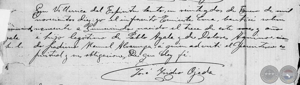 Documento de Respaldo