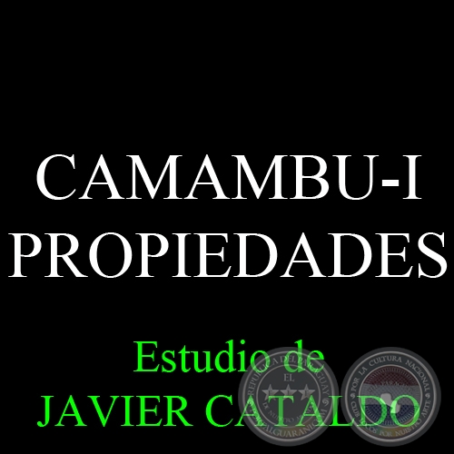 CAMAMBU-I - PROPIEDADES - Estudio de JAVIER CATALDO