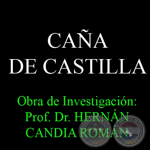 CAÑA DE CASTILLA - Obra de Investigación: Prof. Dr. HERNÁN CANDIA ROMÁN