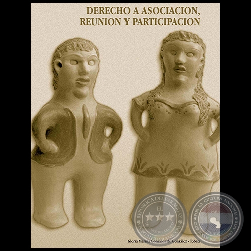 DERECHO A ASOCIACIÓN, REUNIÓN Y PARTICIPACIÓN - QUINTÍN RIQUELME - AÑO 2003