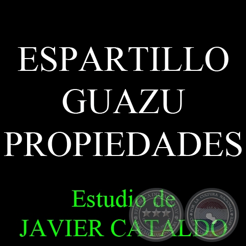 ESPARTILLO GUAZU - PROPIEDADES - Estudio de JAVIER CATALDO