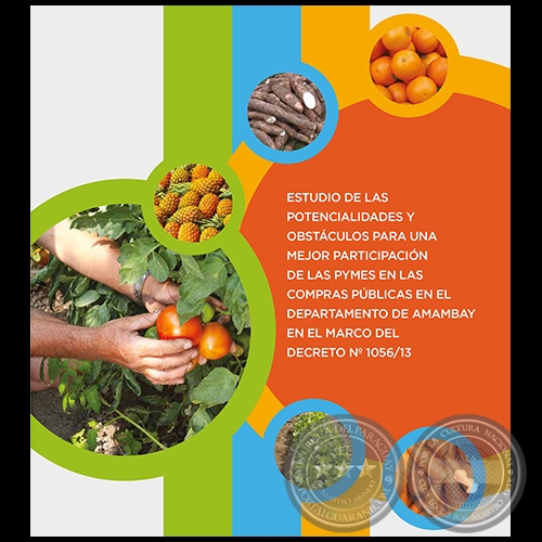 ESTUDIO DE LAS POTENCIALIDADES Y OBSTÁCULOS PARA UNA MEJOR PARTICIPACIÓN DE LAS PYMES EN LAS COMPRAS PÚBLICAS EN EL DEPARTAMENTO DE AMAMBAY EN EL MARCO DEL DECRETO Nº 1.056/13 - Elaboración JULIO RAMÍREZ - Diciembre 2014 