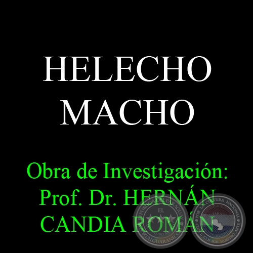 HELECHO MACHO - Obra de Investigación: Prof. Dr. HERNÁN CANDIA ROMÁN