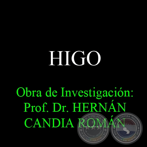 HIGO - Obra de Investigación: Prof. Dr. HERNÁN CANDIA ROMÁN