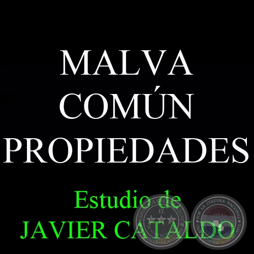 MALVA COMÚN - PROPIEDADES - Estudio de JAVIER CATALDO