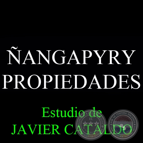 ÑANGAPYRY - PROPIEDADES - Estudio de JAVIER CATALDO