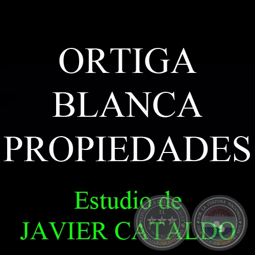 ORTIGA BLANCA - PROPIEDADES - Estudio de JAVIER CATALDO