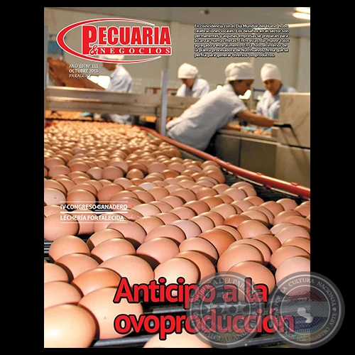PECUARIA & NEGOCIOS - AÑO 10 - N° 111 - REVISTA OCTUBRE 2013 - PARAGUAY