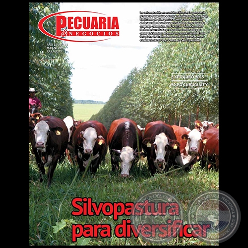 PECUARIA & NEGOCIOS - AÑO 11 NÚMERO 128 - REVISTA MARZO 2015 - PARAGUAY