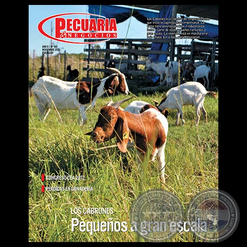 PECUARIA & NEGOCIOS - AÑO 9 - N° 100 - REVISTA OCTUBRE 2012 - PARAGUAY
