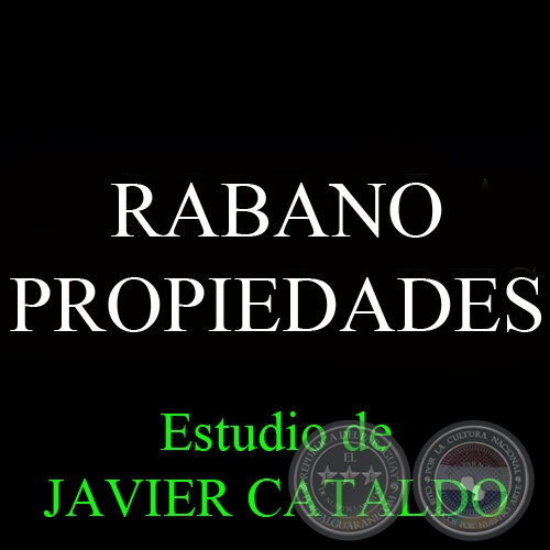RABANO - PROPIEDADES - Estudio de JAVIER CATALDO