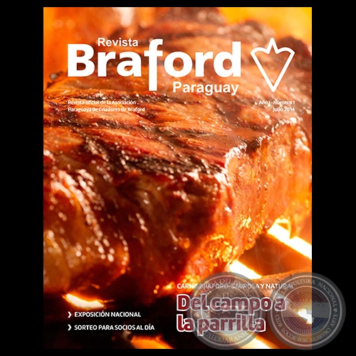 Revista BRAFORD - Año 1 - Número 1 - Julio 2014