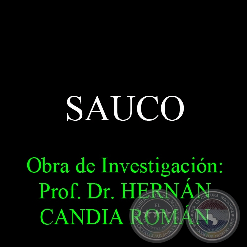 SAUCO - Obra de Investigación: Prof. Dr. HERNÁN CANDIA ROMÁN