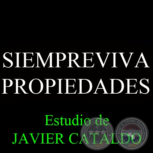 SIEMPREVIVA - PROPIEDADES - Estudio de JAVIER CATALDO