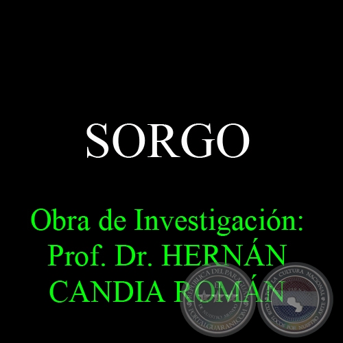 SORGO - Obra de Investigación: Prof. Dr. HERNÁN CANDIA ROMÁN