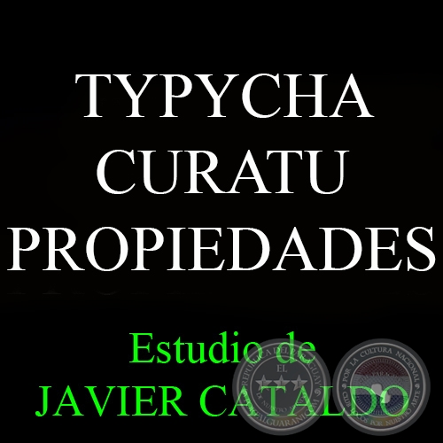 TYPYCHA CURATU - PROPIEDADES - Estudio de JAVIER CATALDO