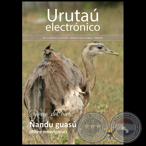 URUTAÚ ELECTRÓNICO - NÚMERO 01 - AÑO 11 - ENERO 2013