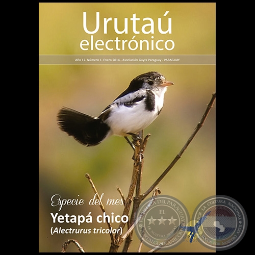 URUTAÚ ELECTRÓNICO - NÚMERO 01 - AÑO 12 - ENERO 2014