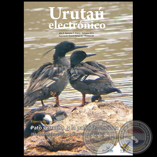 URUTAÚ ELECTRÓNICO - NÚMERO 01 - AÑO 9 - ENERO Y FEBRERO 2011